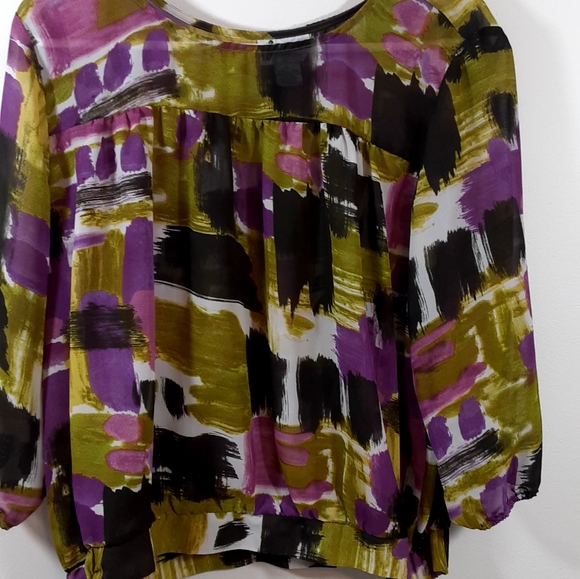 Beautiful Sheer Joanna Multi Color Blose - Picture 5 of 5